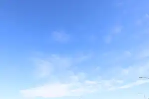 2025-06-22 La Perouse - IMG_2667_compressed_q50.webp